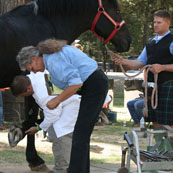 Edward Martin Perpetual Farrier