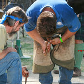 Edward Martin Perpetual Farrier